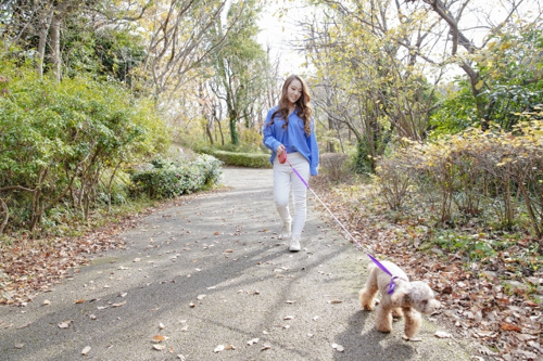 ペットを飼う人に人気のペット共生型賃貸の魅力！どんな設備がついている？の画像