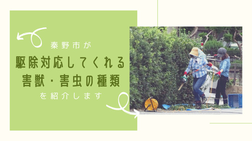 秦野市が駆除対応してくれる害獣・害虫の種類を紹介しますの画像