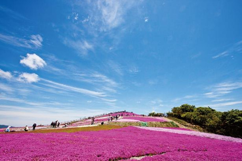 例年より暑い夏がの画像