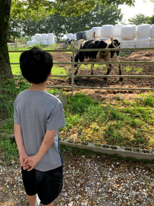 ＷＡＬＫＩＮＧ！の画像