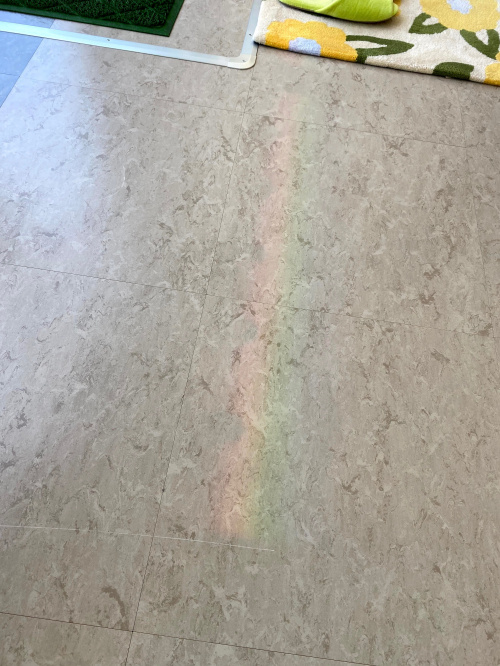 RAINBOW★の画像