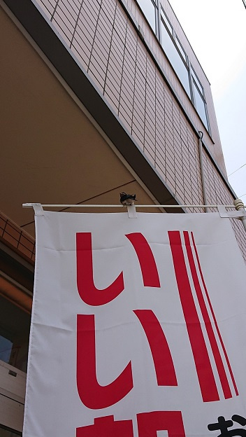 6/7 ツバメ日記 埼玉開発 日高市高麗川2丁目の画像