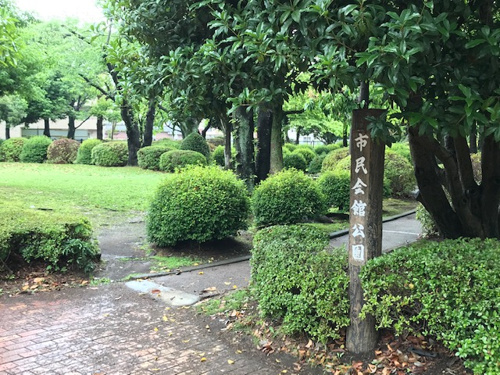 今が季節♪『どぜう鍋』の画像