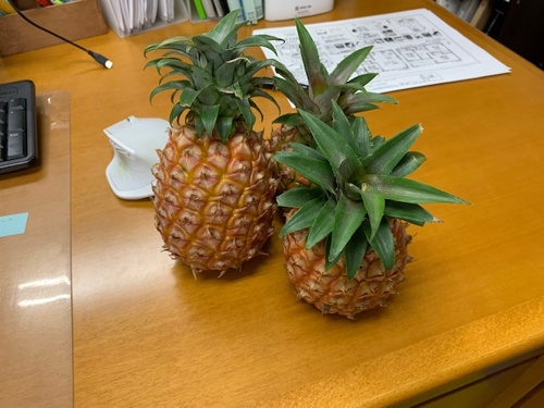 少しだけ社会貢献。の画像