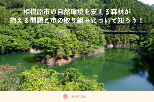 相模原市の自然環境を支える森林が抱える問題と市の取り組みについて知ろう！の画像