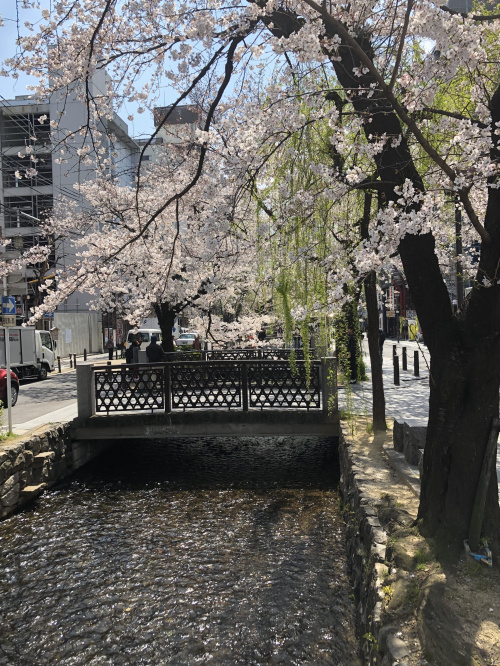 お客様と共に成長させて頂くの画像