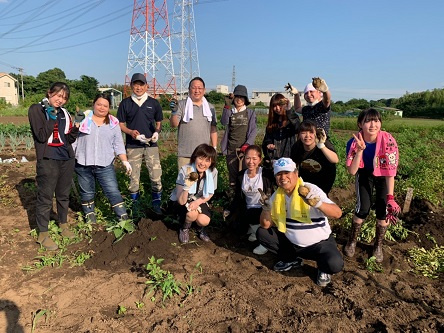 日高市の無農薬ジャガイモ掘り(^^♪の画像