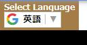 TRANSLATION /翻訳の画像