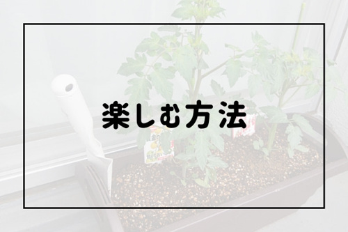 賃貸のベランダでガーデニングを楽しむ方法 おすすめの植物もご紹介 城北商事不動産部 鶯谷や入谷の賃貸 売買
