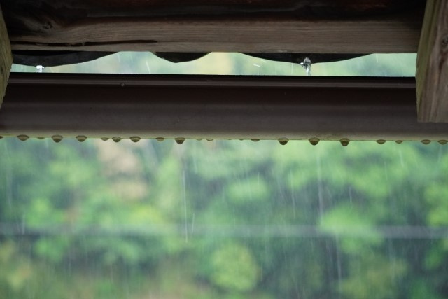 【部屋干し臭は菌が原因？】雨でも平気！タオルが臭くならない洗濯方法の画像