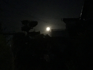 「中秋の名月」の画像