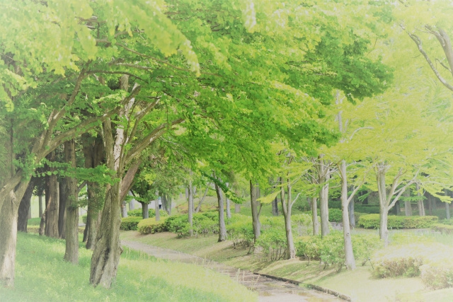 大阪府吹田市の公園へ遊びに行こう！おすすめしたい公園2選の画像