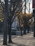 「秋」の画像