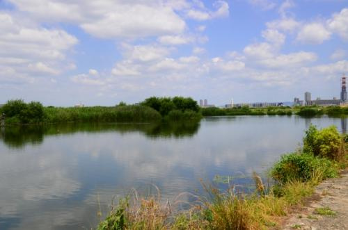 ジョギングやペットのお散歩にも！大阪市旭区にある散歩スポット2選