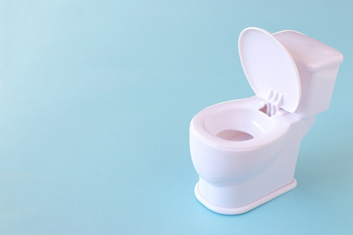 一人暮らしでも温水洗浄便座は必要 いらない 弁天町の賃貸 ホームメイトfc弁天町店 有限会社レジデンス21