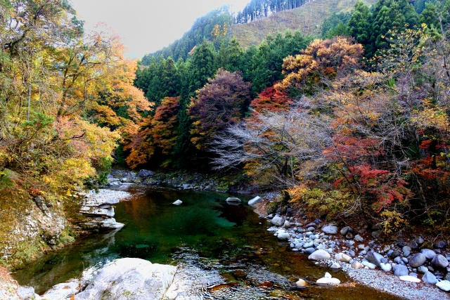 栃木県鹿沼市は住みやすい？街の魅力について紹介の画像