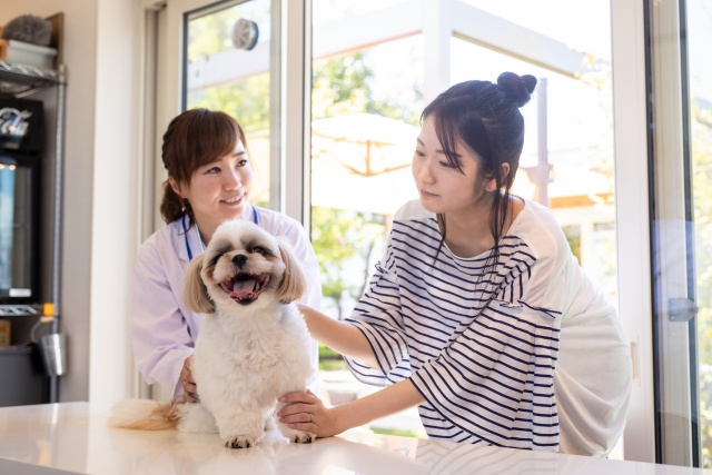 枚方市にあるおすすめ動物病院2選 口コミ人気の高い人気病院厳選 大阪の不動産売却 買取のことなら株式会社ハウスゲート