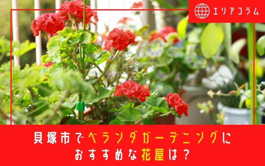貝塚市でベランダガーデニングにおすすめな花屋は 大阪の不動産売却 買取のことなら株式会社ハウスゲート
