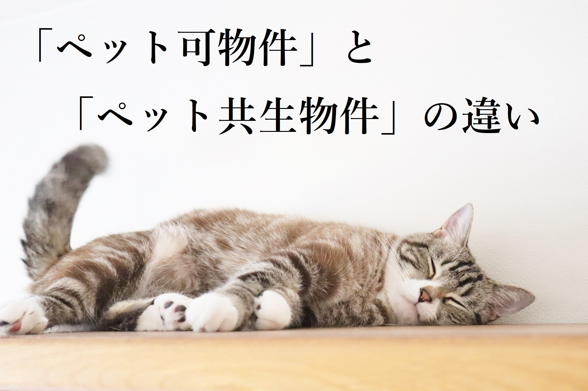 「ペット可物件」と「ペット共生物件」の違いの画像