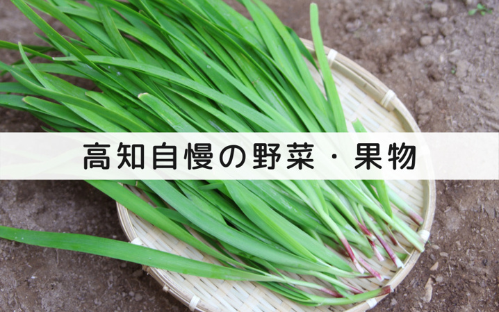 自然の恵み！高知自慢の安心・安全な野菜・果物をいただこう！