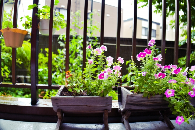 我孫子市でベランダガーデニングの用品を購入するならどの花屋が...の画像