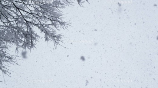 今日はお昼すぎから雪模様の予報です。の画像