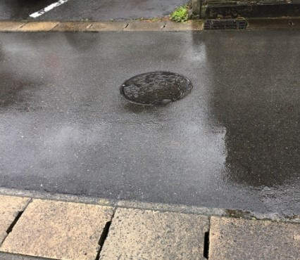 昨日夜の雪から雨模様です。の画像