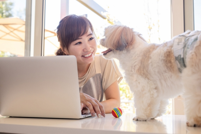 ペット共生型賃貸とは？明石の賃貸の経営をお考えのオーナー様へ...の画像