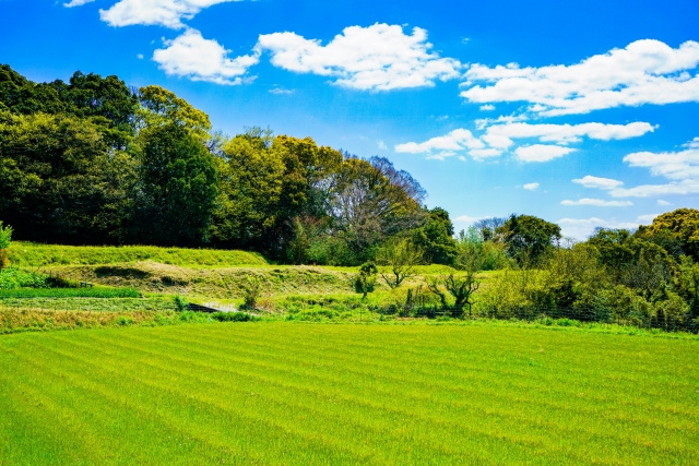 【農地を相続】農業をしない場合の対策方法と注意点の画像
