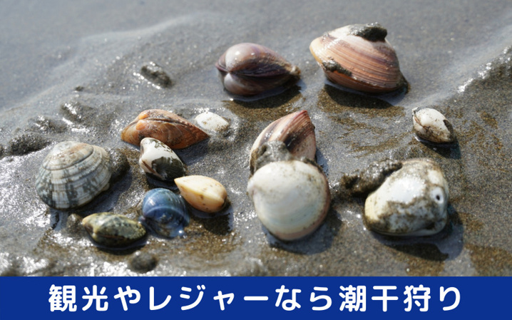 西尾市で観光やレジャーを楽しもう おすすめのスポットはここ 幸田町での新築一戸建て 土地 不動産のことなら ウッドボへ