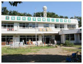 聖学院大学附属みどり幼稚園（さいたま市西区、口コミ、評判）の画像