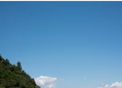 気持ちの良い天気です♪の画像