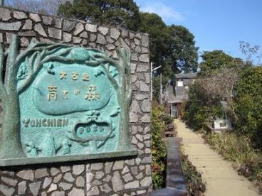 大古里育ちの森幼稚園（さいたま市緑区、口コミ、評判）の画像