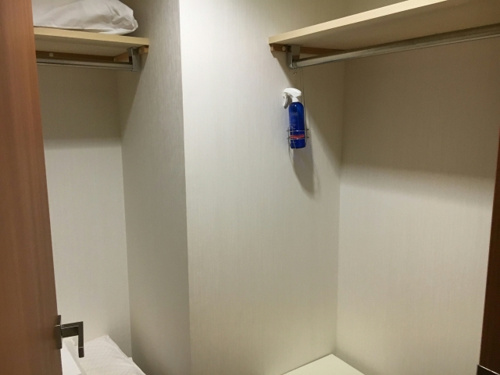 ウォークインクローゼットのある賃貸物件のメリットと注意点とは ホームメイトfc米子西店