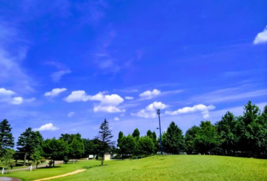 週末の良い天気ですねの画像