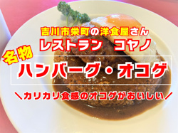 １２月９日：復活のコヤノの画像