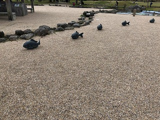 「おさかな」の画像