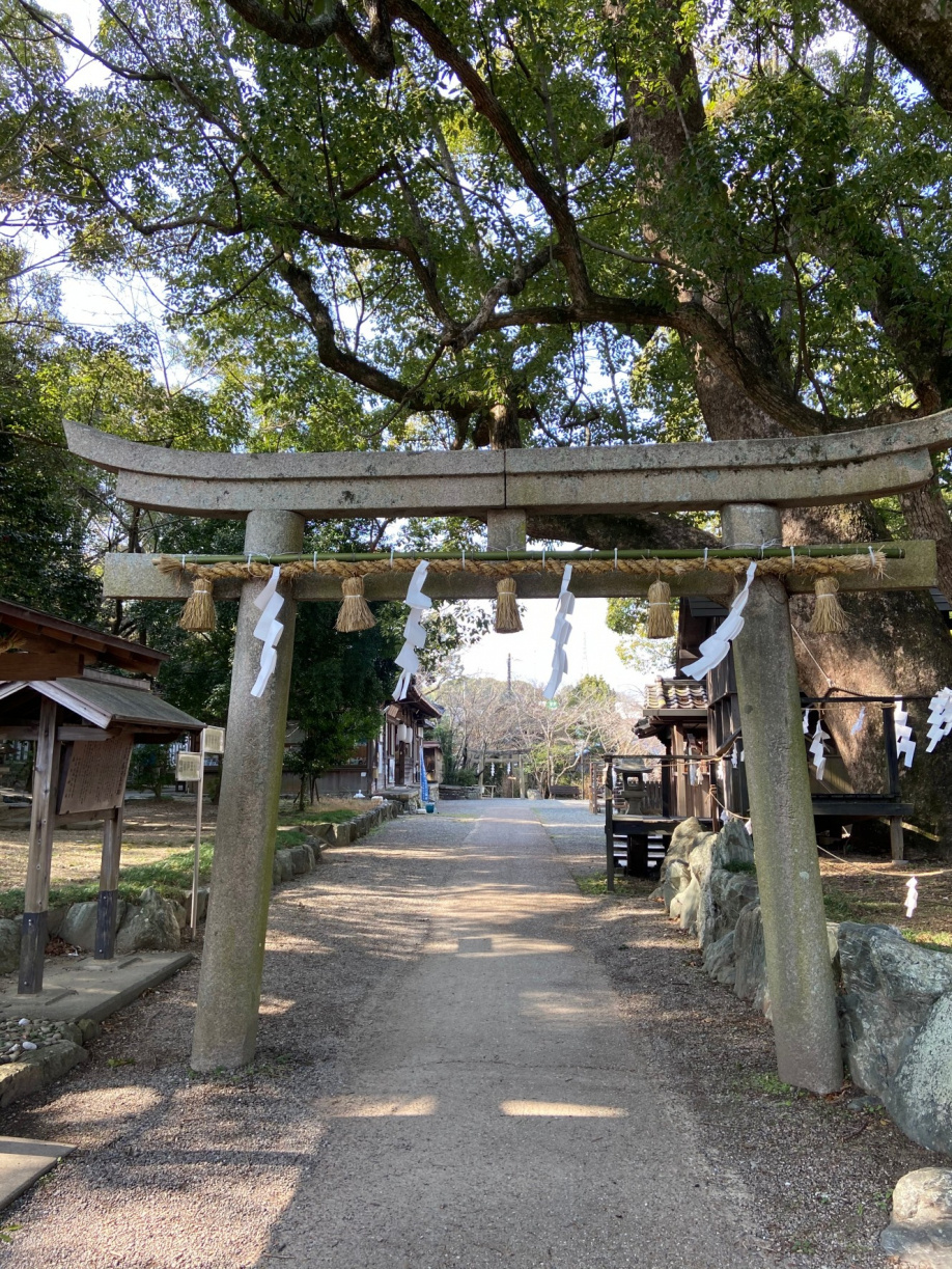 最近の活動♪ハイキングの画像