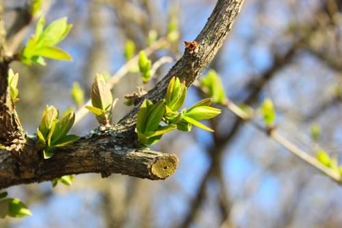 幡ヶ谷駅周辺で自然を感じられる公園はどこ おすすめの公園2選 不動産の売却 買取 仕入れ 権利関係なら株式会社 創栄