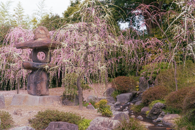 七五三や合格祈願に！京都市伏見区のおすすめ神社の特徴とご利益...の画像