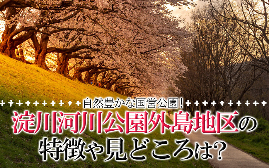 自然豊かな国営公園！淀川河川公園外島地区の特徴や見どころは？...の画像