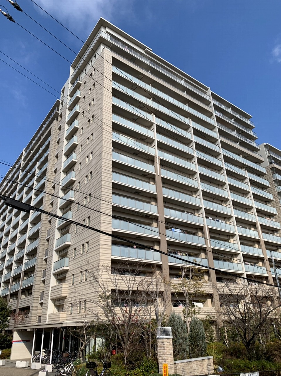 本日の新着情報！！の画像