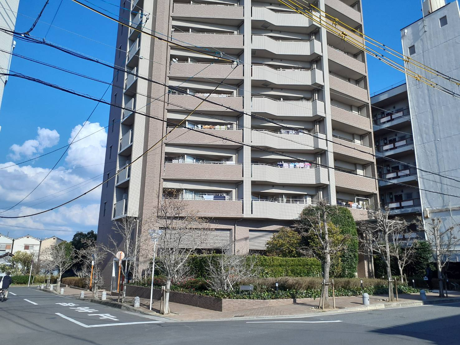 本日の新着情報！！の画像