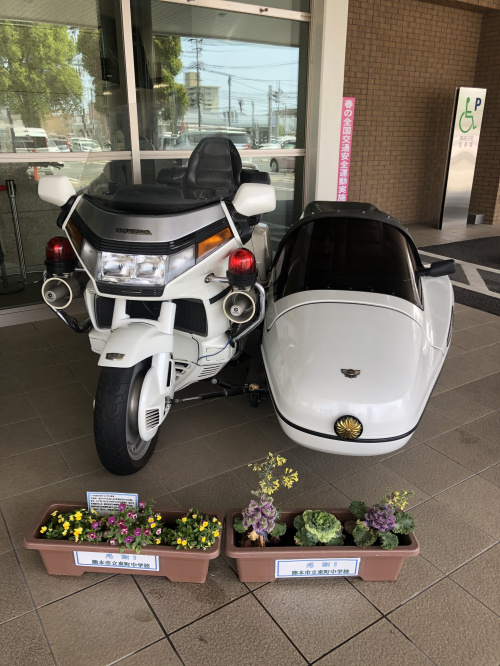 通行禁止道路通行許可証の画像