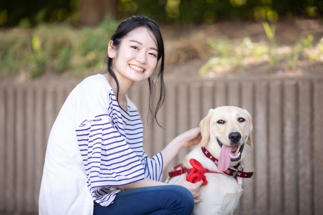 横浜市泉区で犬を飼うときは必見！飼い犬には登録や予防注射が必...の画像
