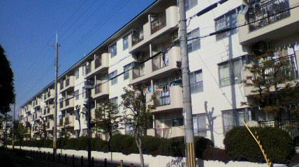 本日の新着情報！！の画像