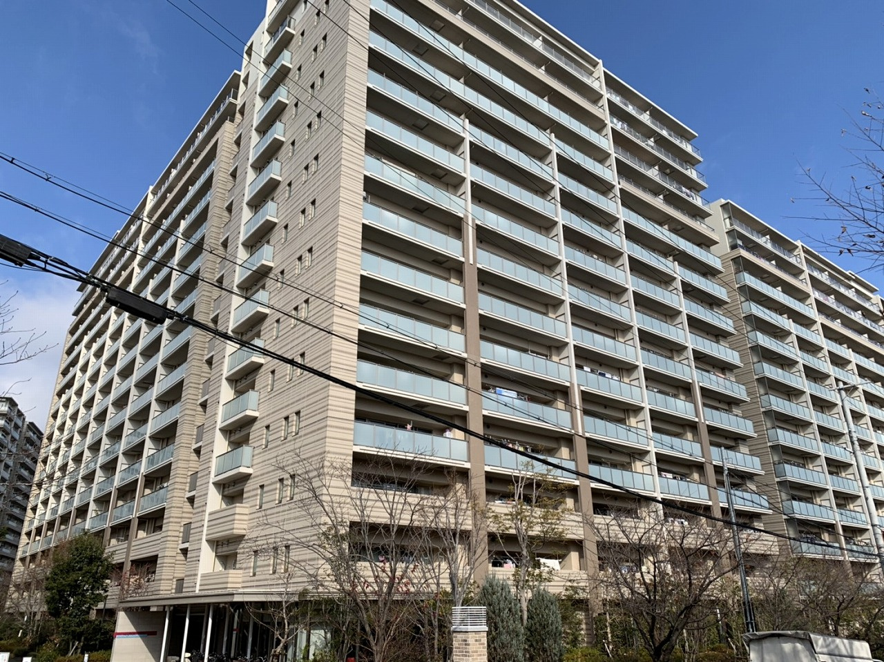 本日の新着情報！！の画像