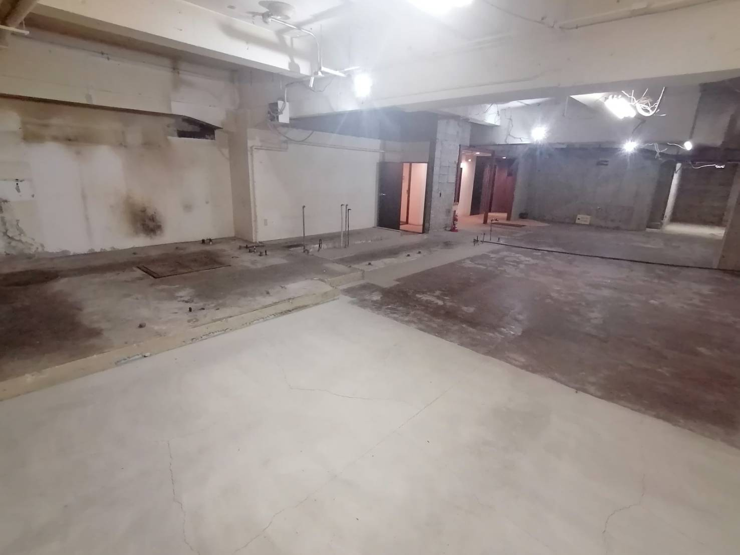 鯉川筋沿いの重飲食相談可能店舗の画像