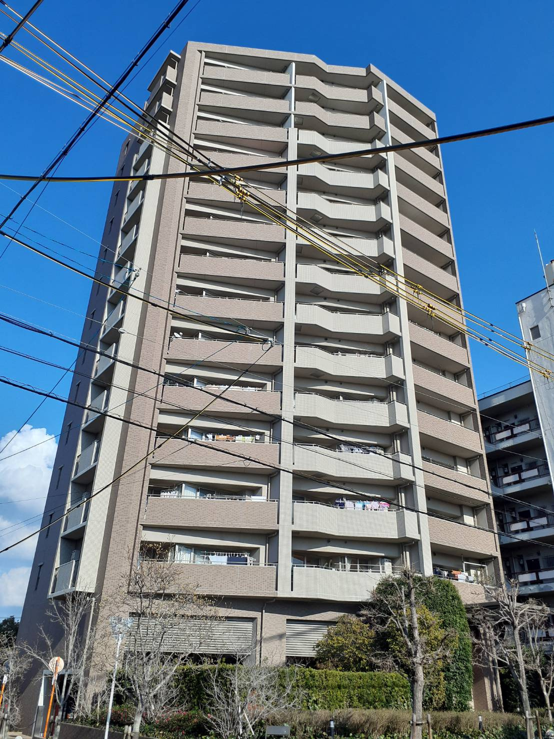 本日の新着情報！！の画像