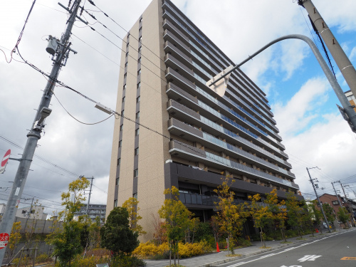 本日の新着情報！！の画像